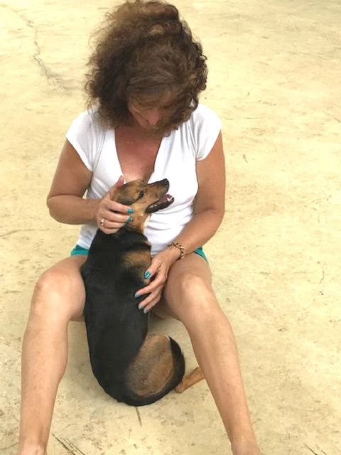 Importing dogs to Malaysia - Mandy with her owner