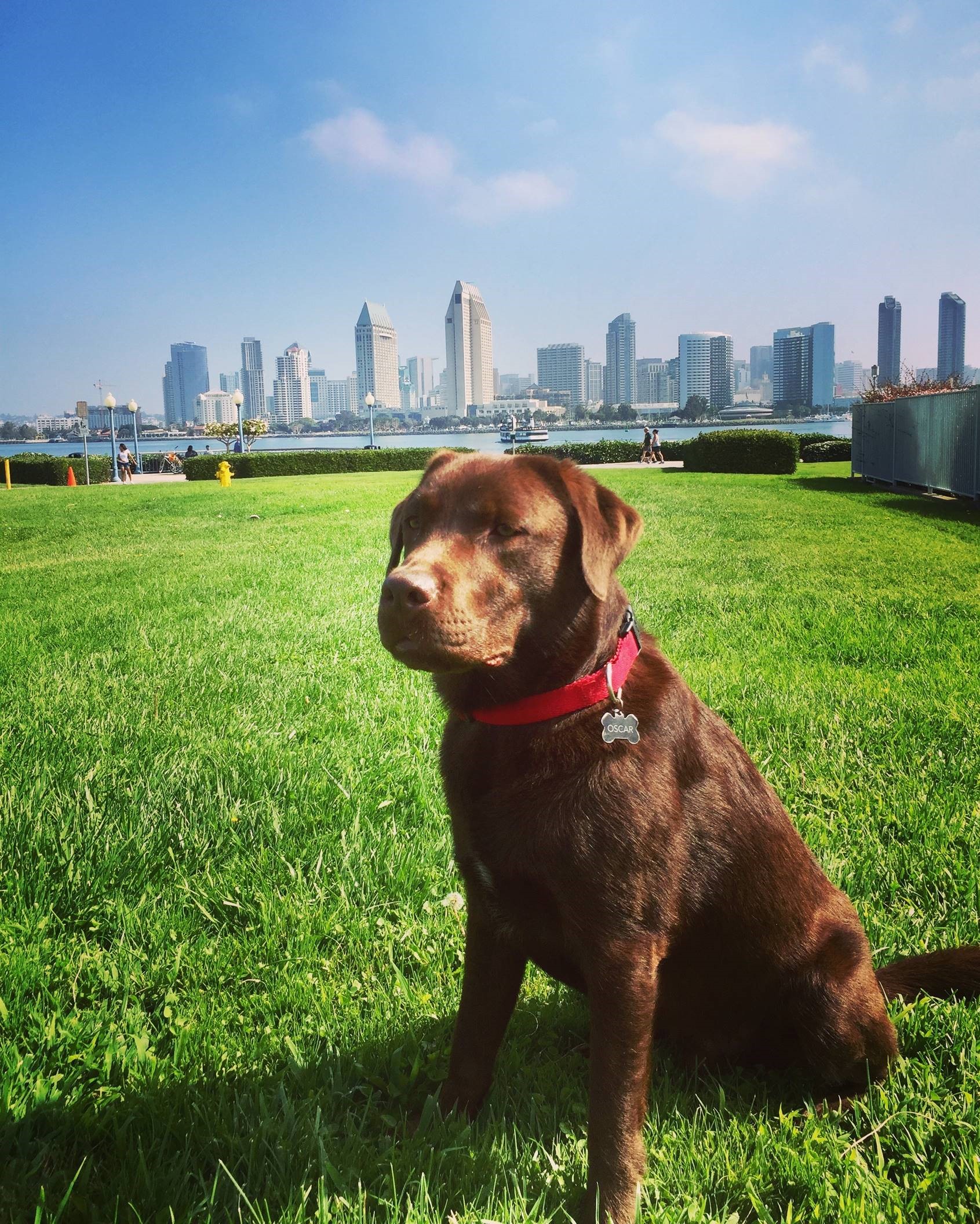 chocolate lab relocates to hong kong