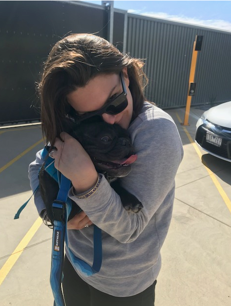 pet reunited with owner in australia
