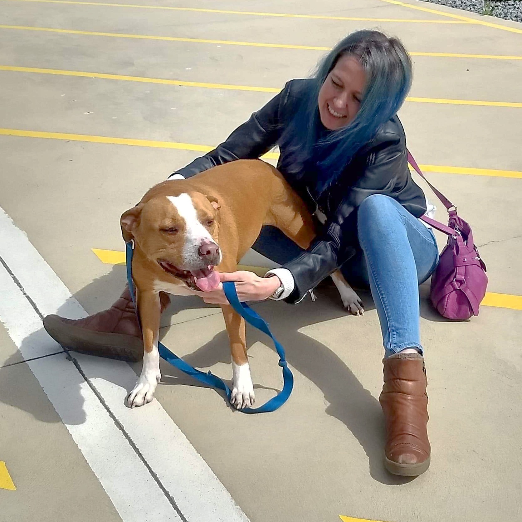 Staffordshire terrier reunited with owner after quarantine in australia