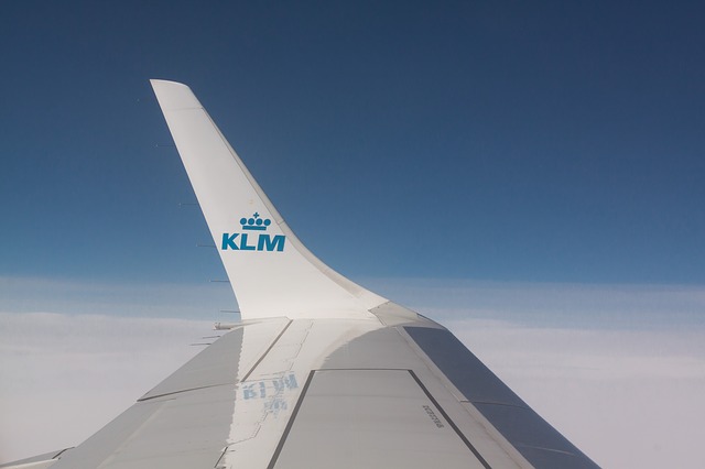 shipping pets internationally on KLM 