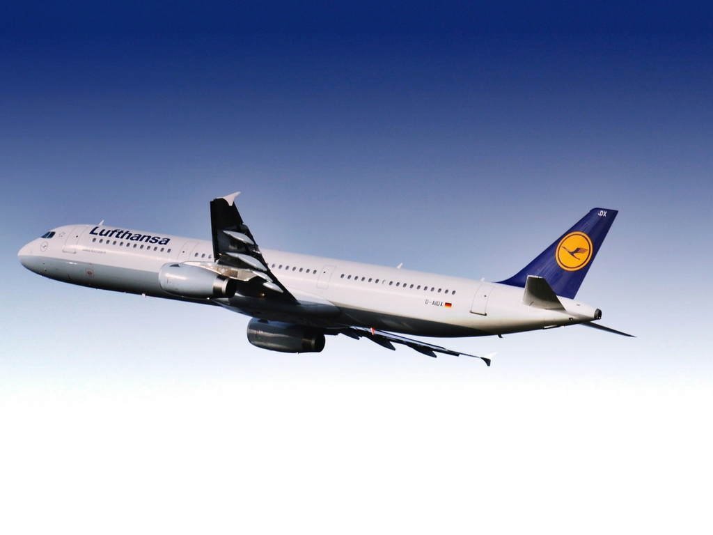 pets fly as manifest cargo on Lufthansa 