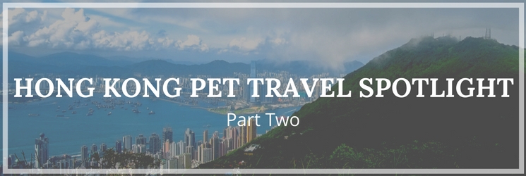 hong kong pet travel spotlight part two