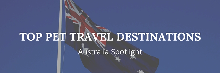 Top Pet Travel Destinations: Australia Spotlight