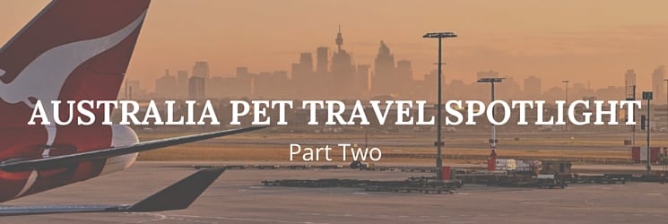 Australia pet travel spotlight part two