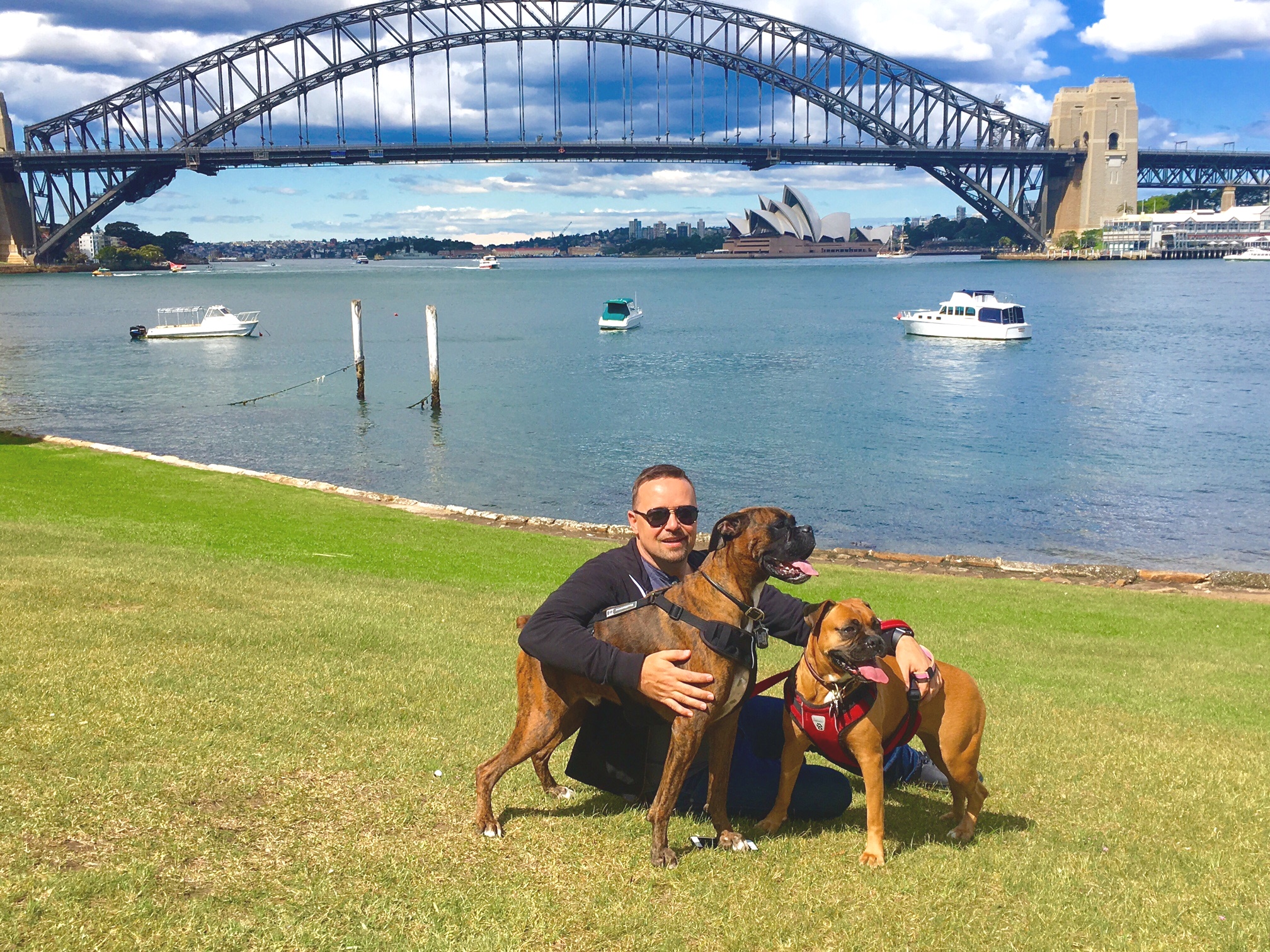 Dog Travel to Australia