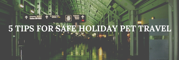 safe holiday pet travel tips