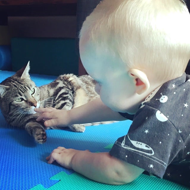 happy pet cat + baby reunion