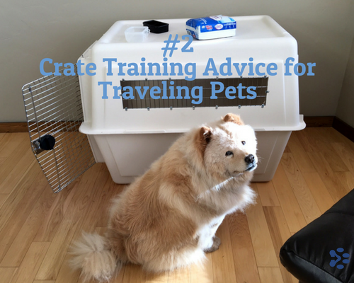 pet travel crate training advice