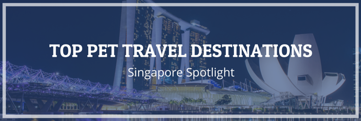 Singapore Pet Travel Spotlight