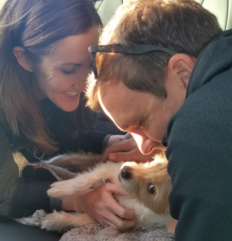 small dog reunited with family after Australian quarantine