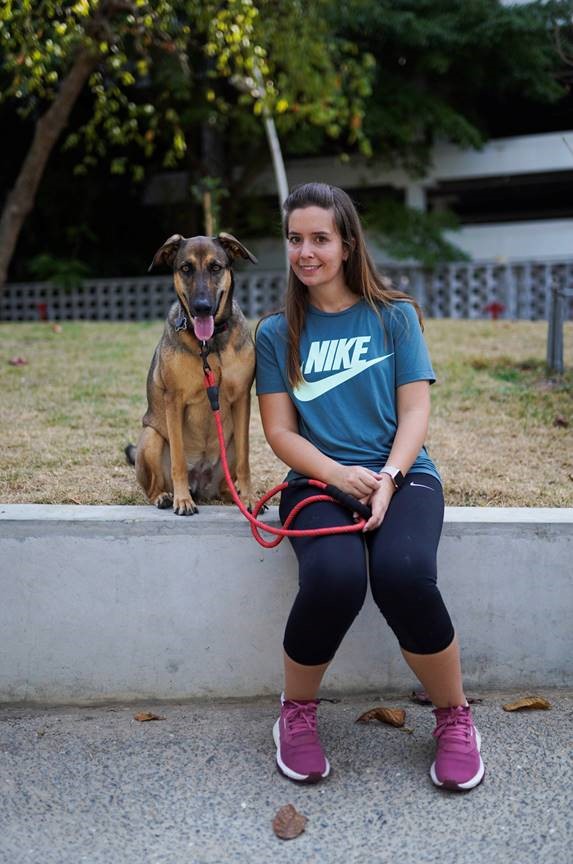 relocating large dogs 