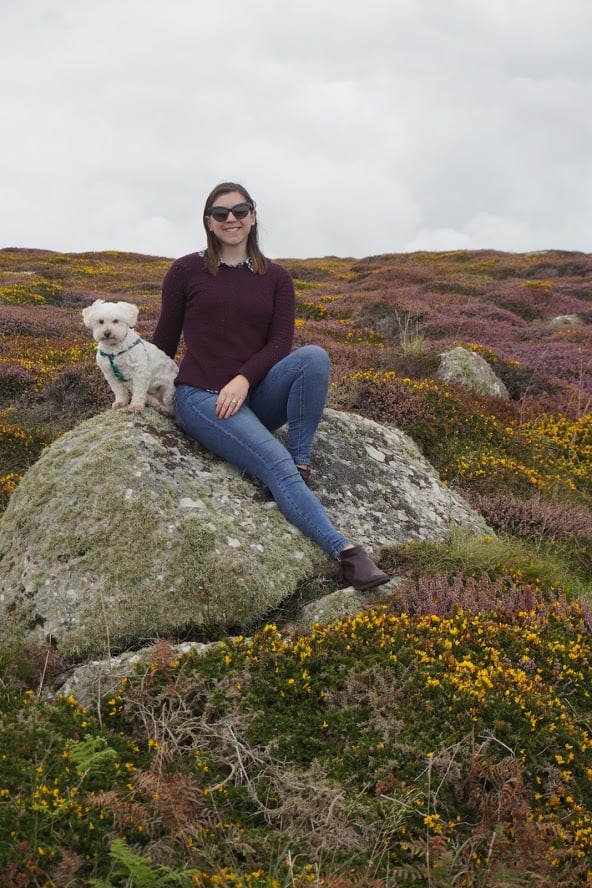 dog with family after relocating to the uk 