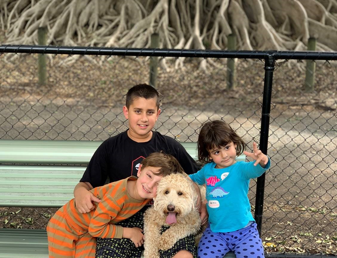 goldendoodle moves to australia
