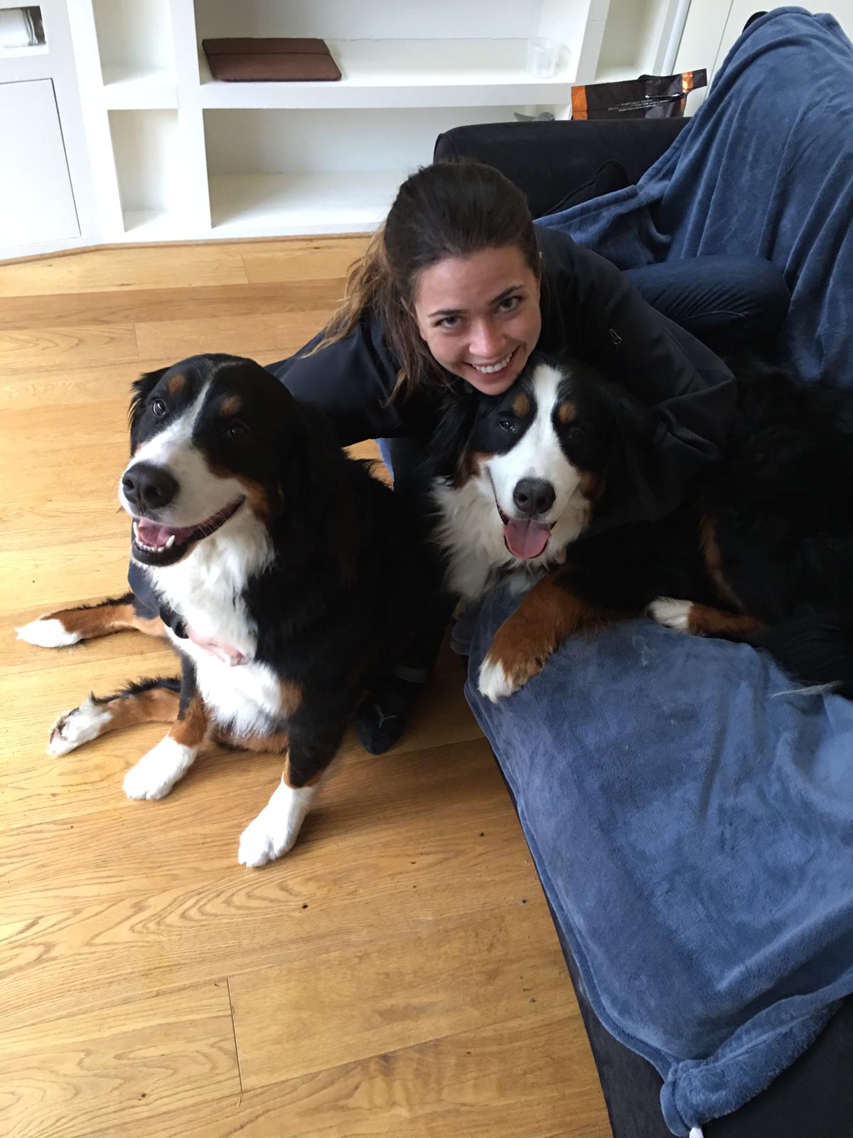 Two Large Dogs Move to the UK Gus and Penny's Travel