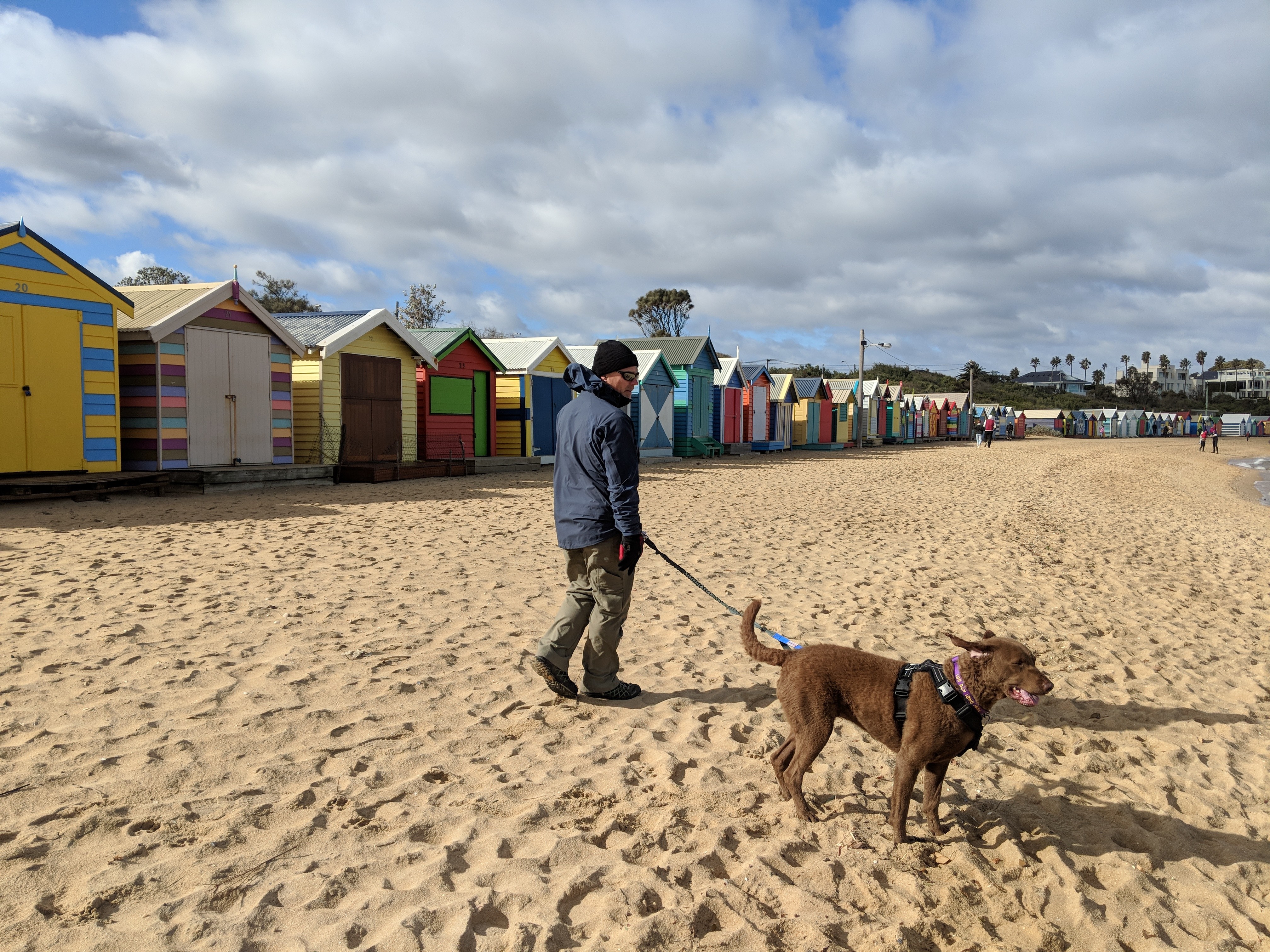 Shipping a dog to Australia Piper's Journey PetRelocation