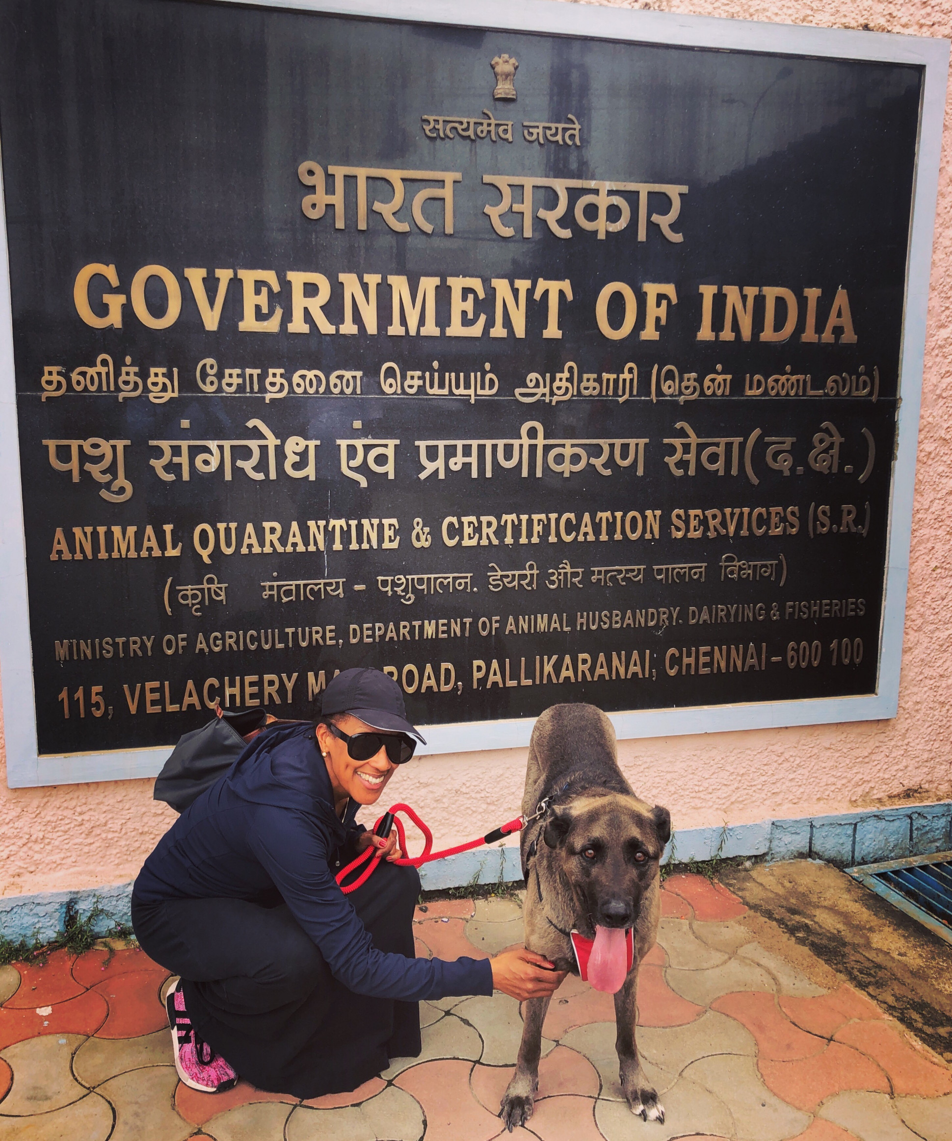 Pet Move of the Month: Drake Moves to India! | PetRelocation