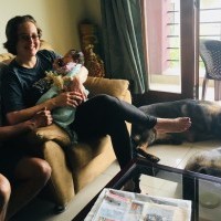 Two german shepherds and their family