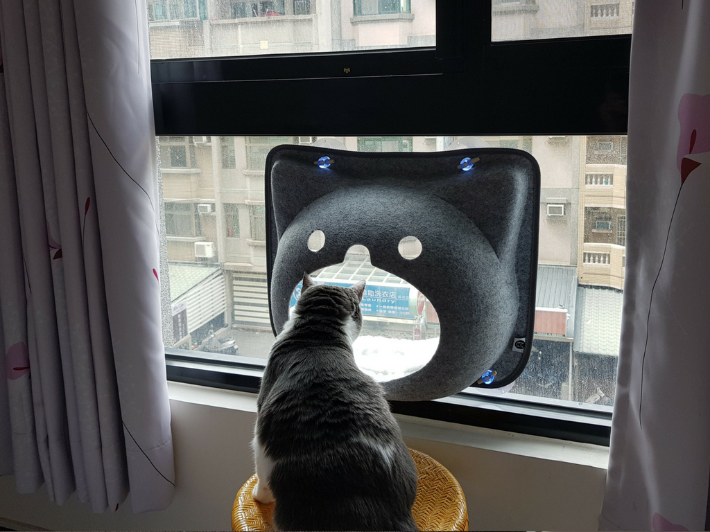 relocating pets to Asia 