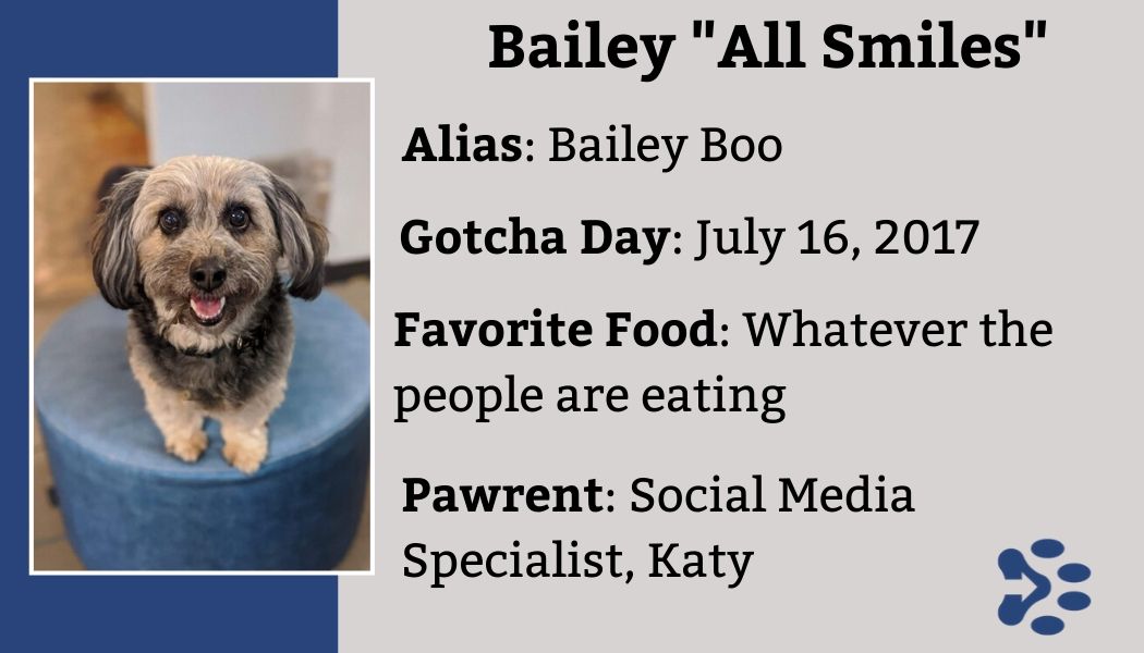 Rescue dog trading card