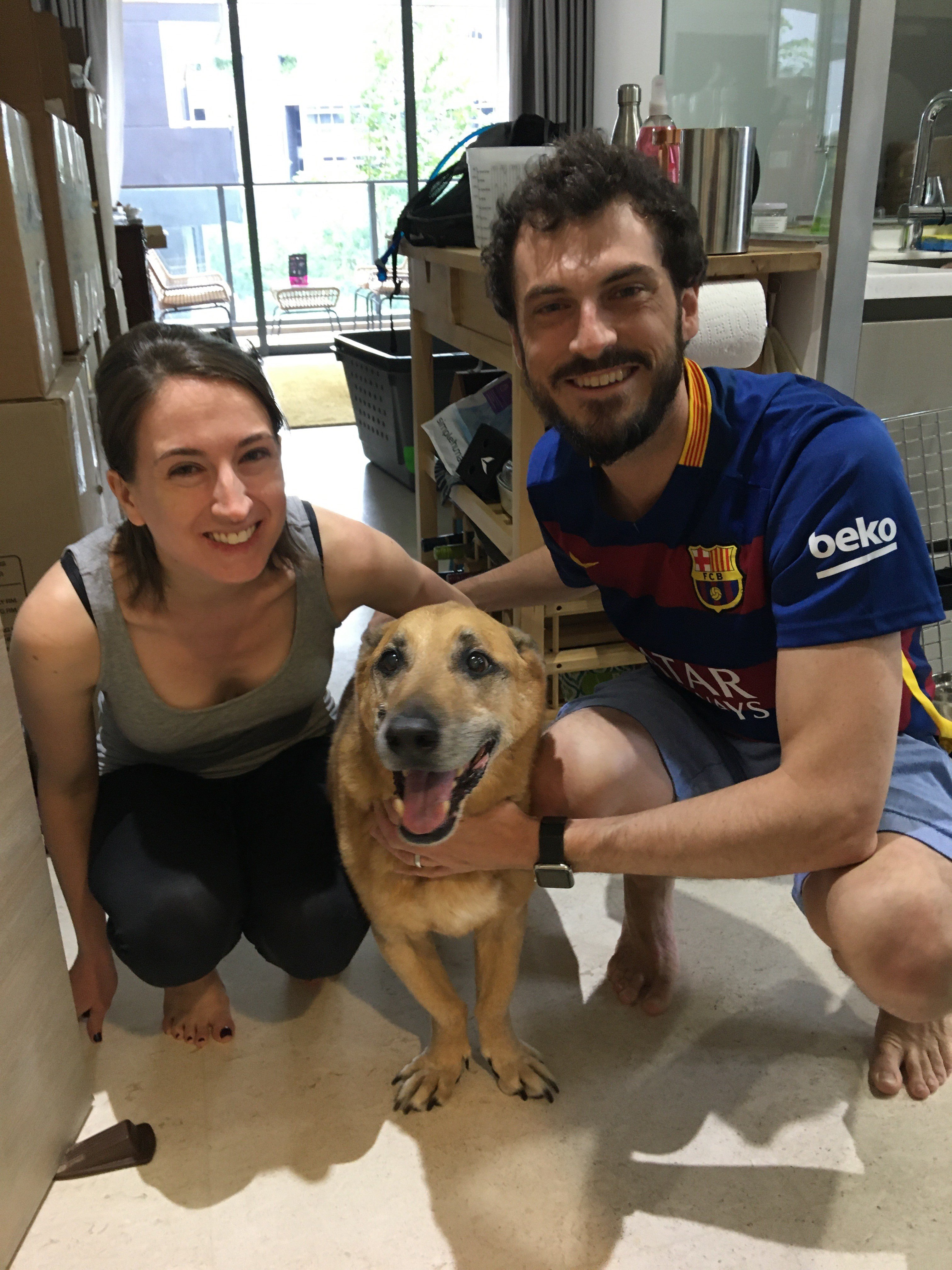 dog Marley and his family after they moved during coronavirus pandemic