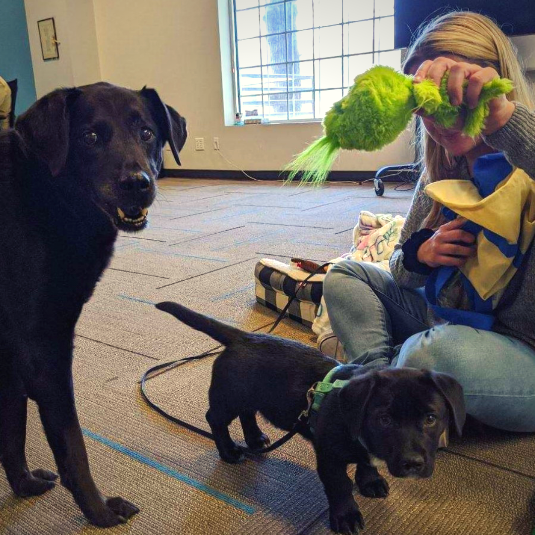 Senior relocation coordinator, Nina with her pets 
