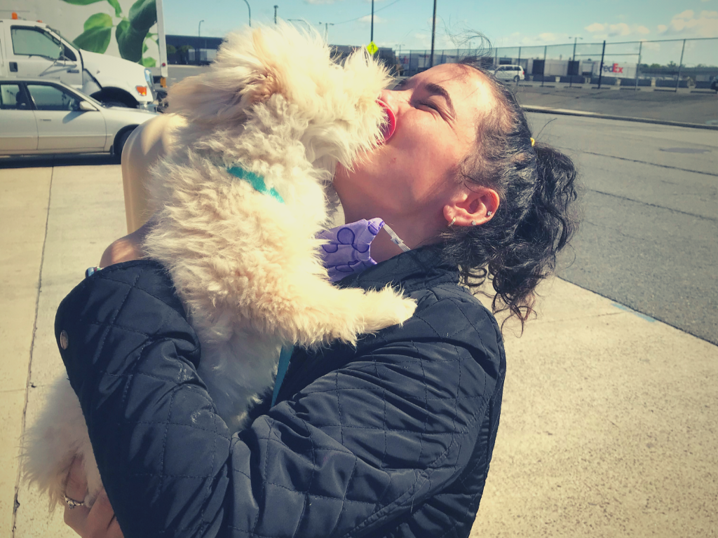 small dog moved from Africa to the USA during COVID 