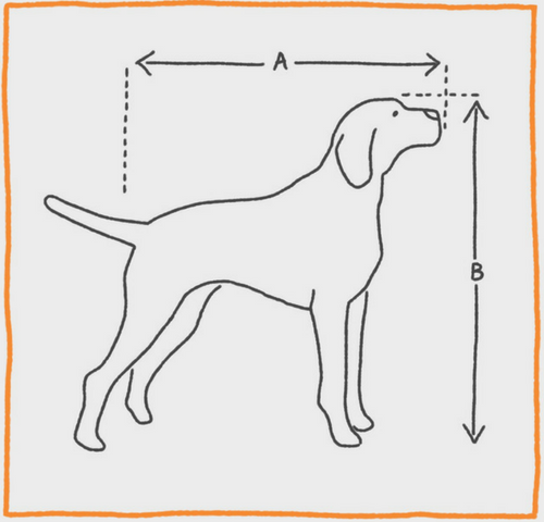 Airline Kennel Size Chart