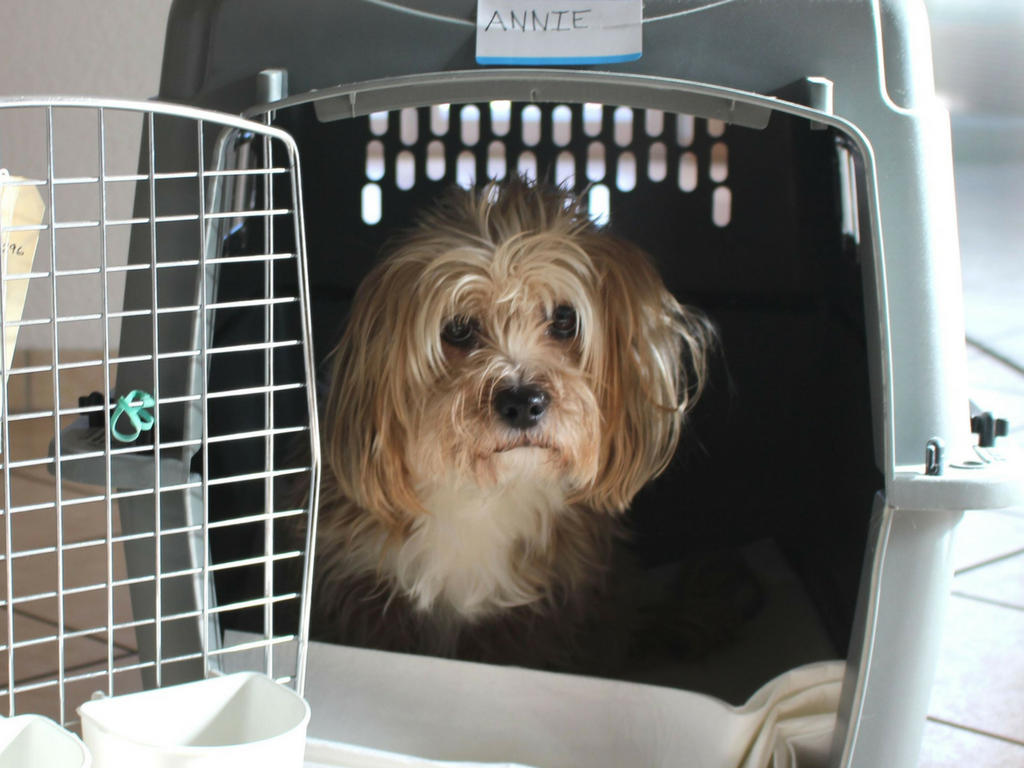 XEMQENER Dog Cage Car Transport Dog cage Aluminium Pet Puppy Travel Kennel Carrier Crate 89 x 69 x 50cm 