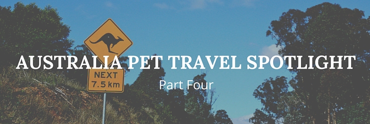 australia pet travel spotlight