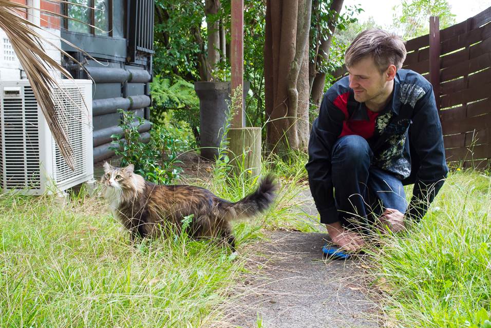 traveling to New Zealand with cats