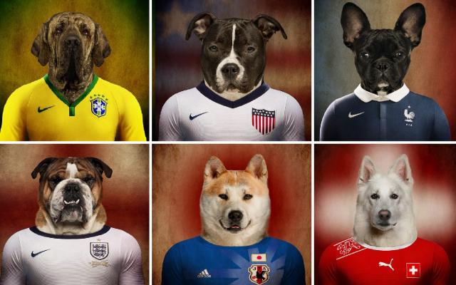 dogs of the world cup