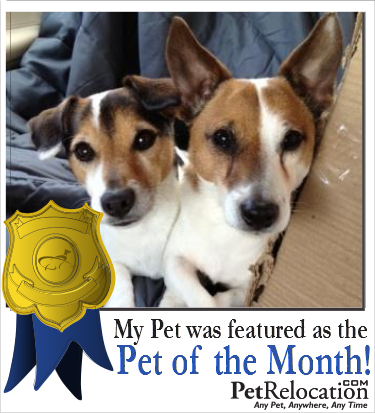 pet of the month