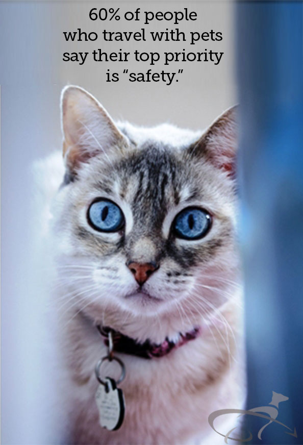pet travel safety