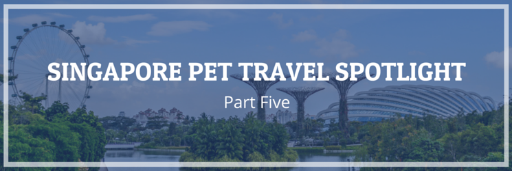 Singapore Pet Travel Spotlight Part Five