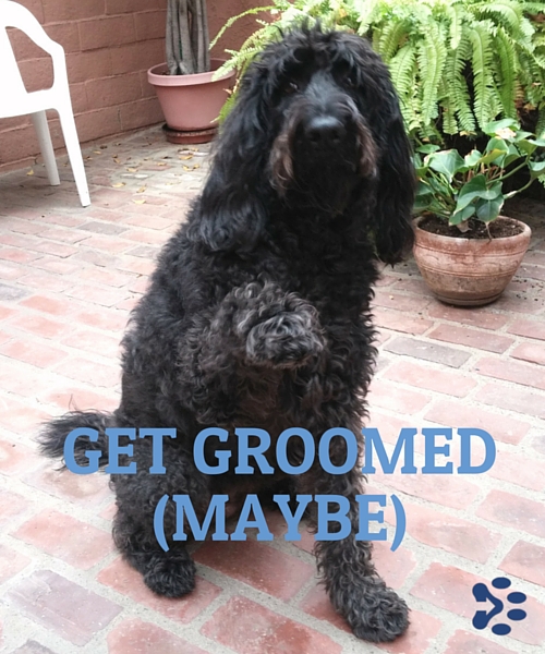 get groomed