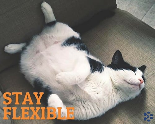 stay flexible