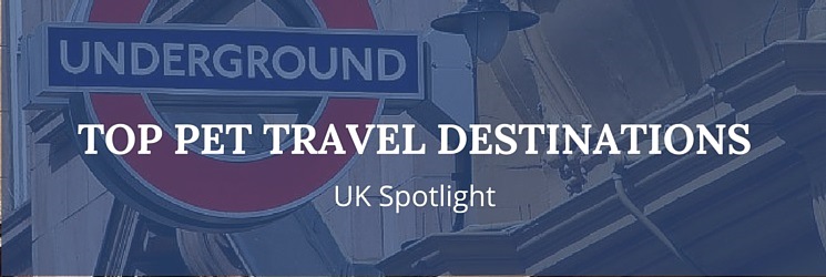 UK Pet Travel Destination: UK