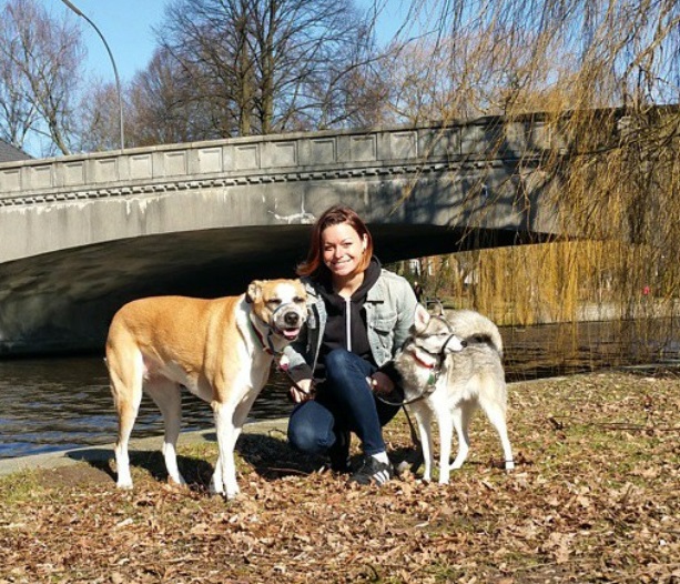 traveling with two dogs to Germany 